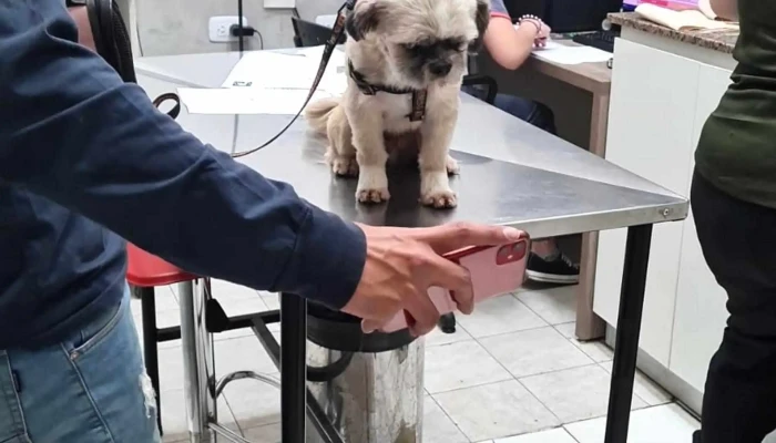 Veterinaria Casa Campo -  Telefono - San Miguel de Tucumán