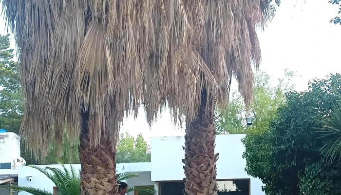 Villa Tacu Alquiler -  Como Llegar - Zonda