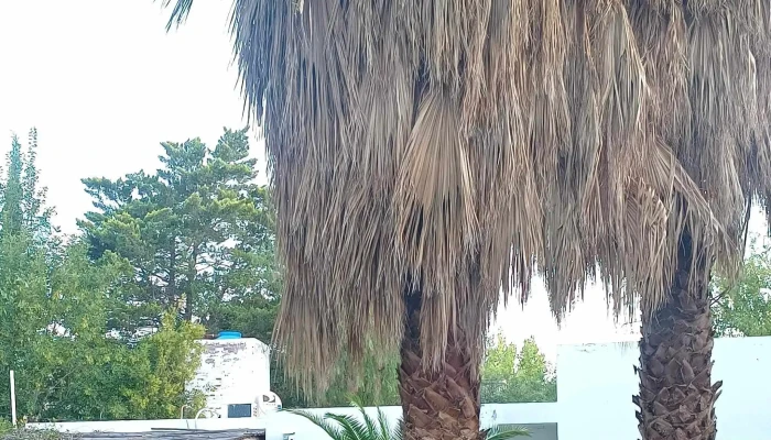 Villa Tacu Alquiler -  Precios - Zonda