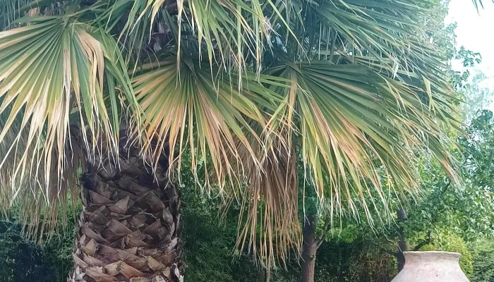 Villa Tacu Alquiler -  Ubicacion - Zonda