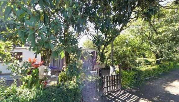Vivero La Casa De Las Plantas -  Descuentos - Monteros