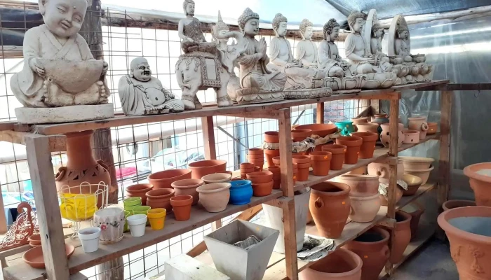 Vivero Yoli -  Del Propietario - Corrientes