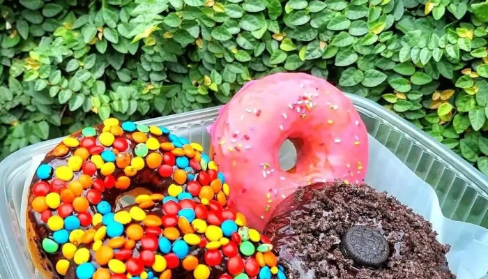 Willy Donuts Comida Y Bebida - Monteros